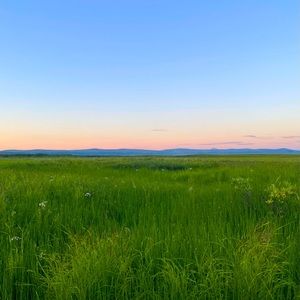 Meet your Posher, ChannaDoll